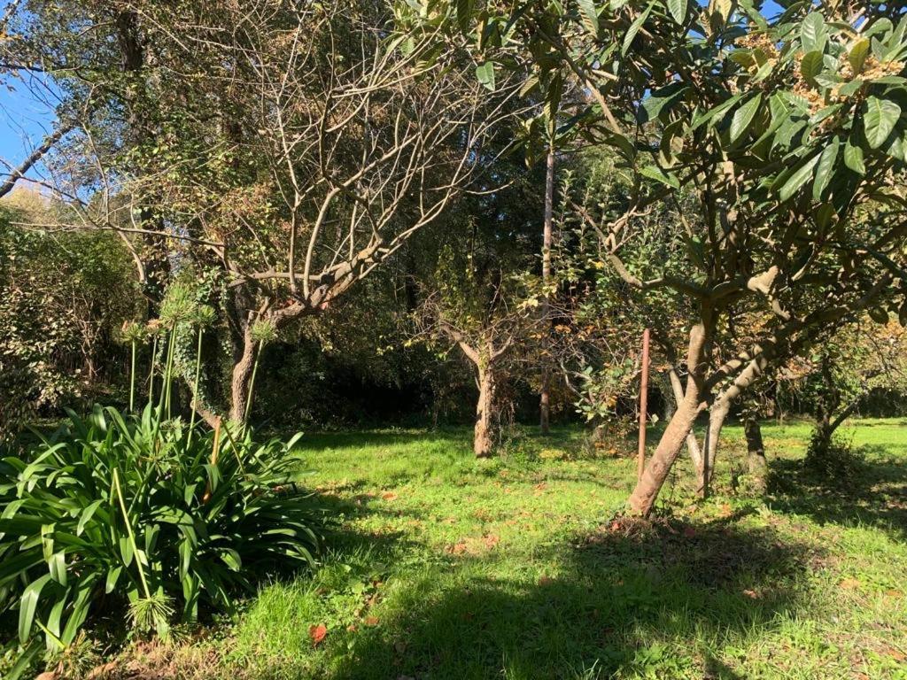 Masia Can Janet Arbucies Ngoại thất bức ảnh