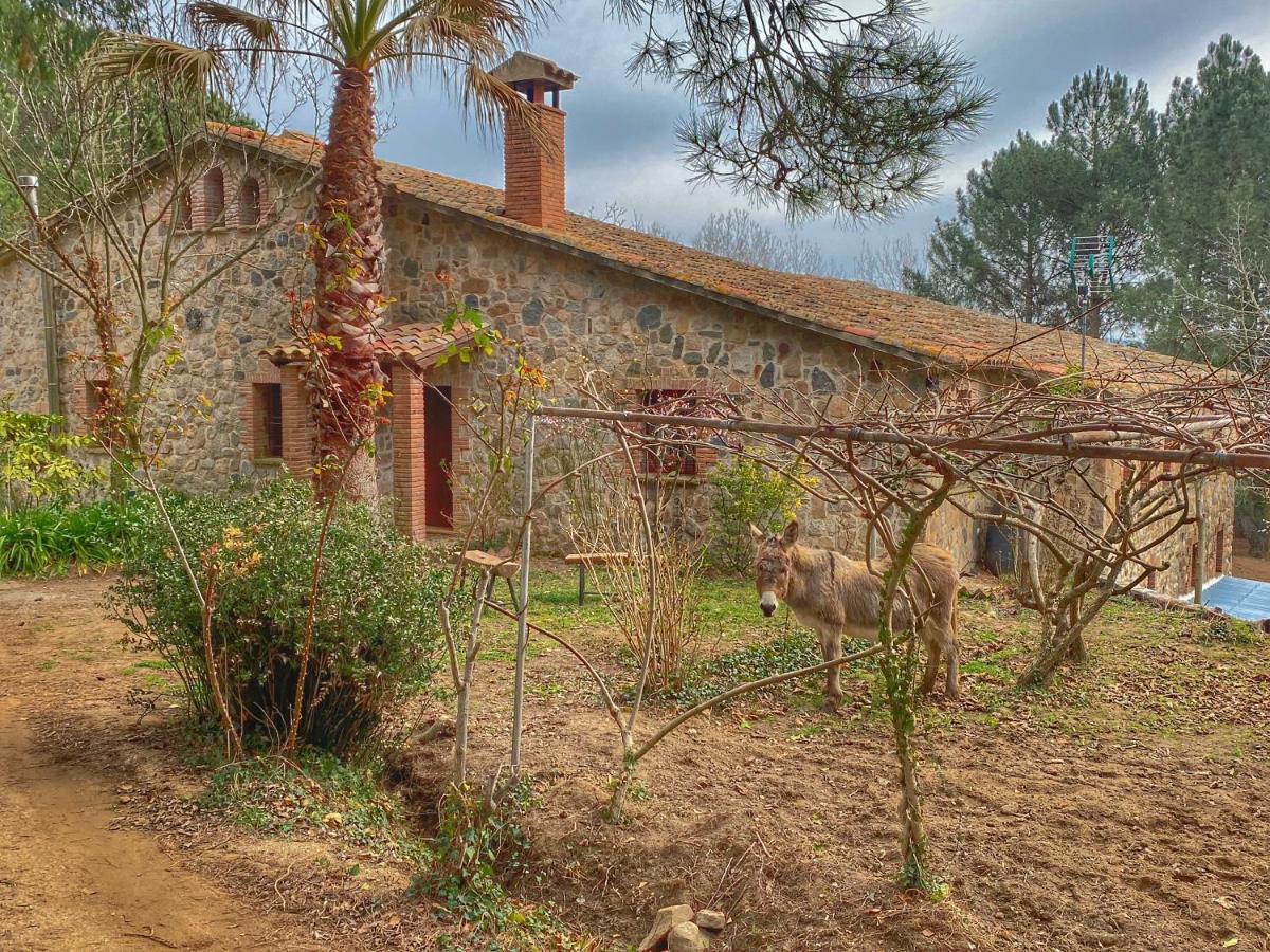 Masia Can Janet Arbucies Ngoại thất bức ảnh