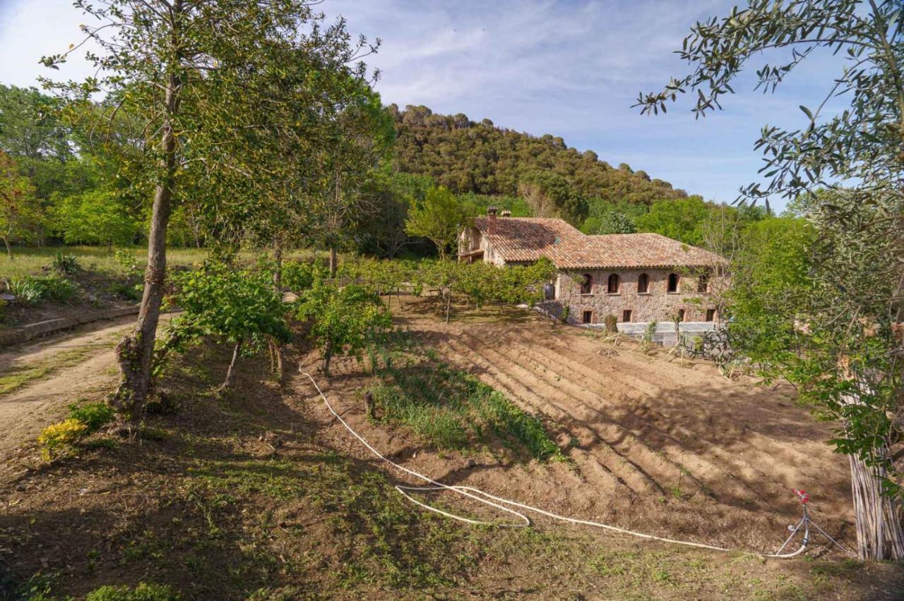Masia Can Janet Arbucies Ngoại thất bức ảnh